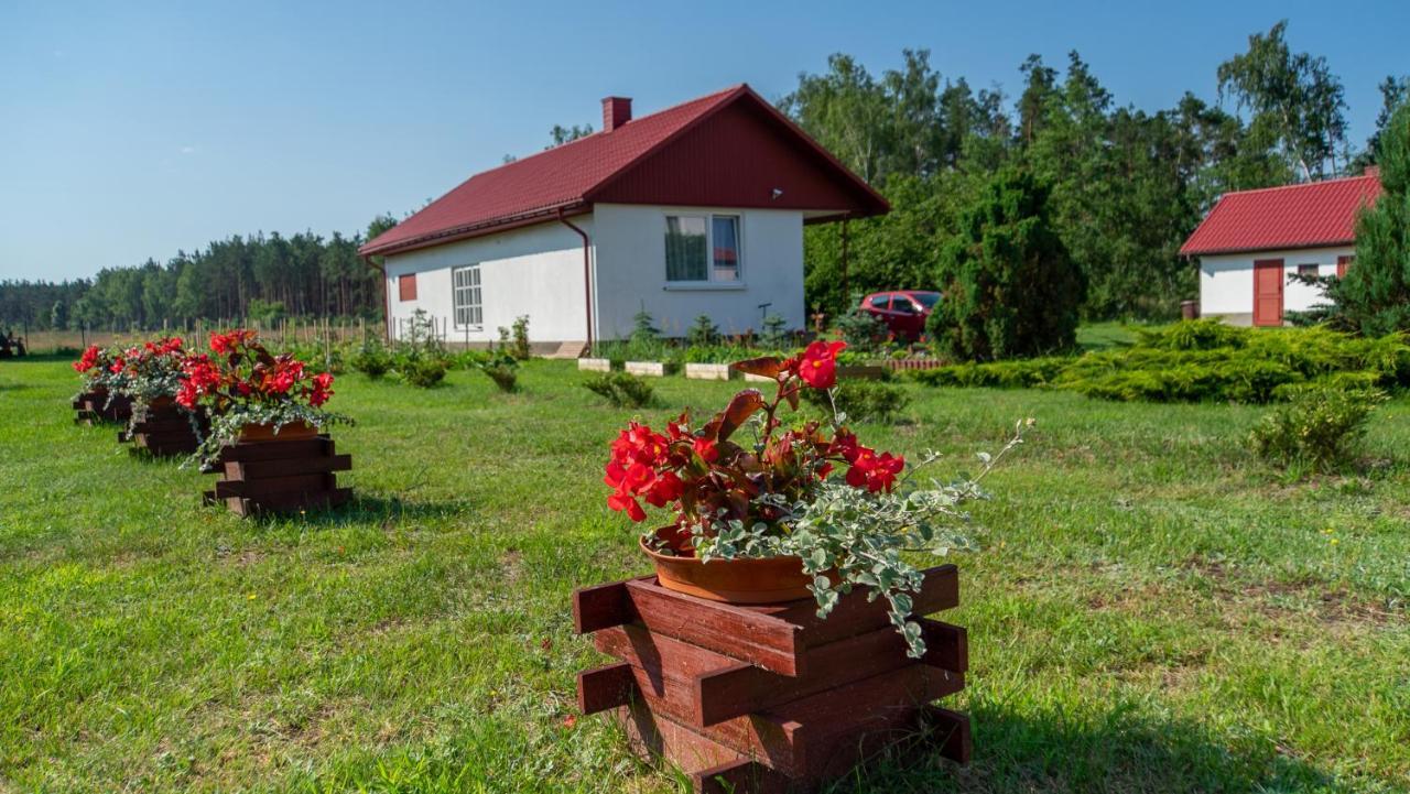Siedlisko Pod Lasem Zwierzyniec Exterior foto